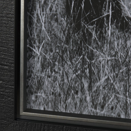 Montana Moves by Mercana Studio a Framed Photo Art Print Matted under Glass from Mercana - Luna Furniture