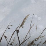 Chilly Breeze I by Mercana Studio a Hand Embellished Textured Framed Canvas from Mercana - Luna Furniture