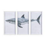 Great White Shark by Ariana a Triptych Hand Embellished Textured Framed Art Print Matted under Glass from Mercana - Luna Furniture