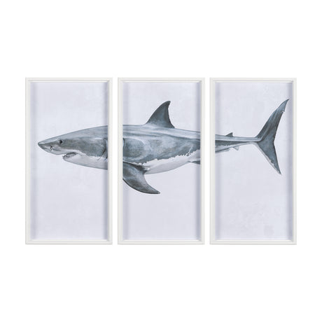 Great White Shark by Ariana a Triptych Hand Embellished Textured Framed Art Print Matted under Glass from Mercana - Luna Furniture