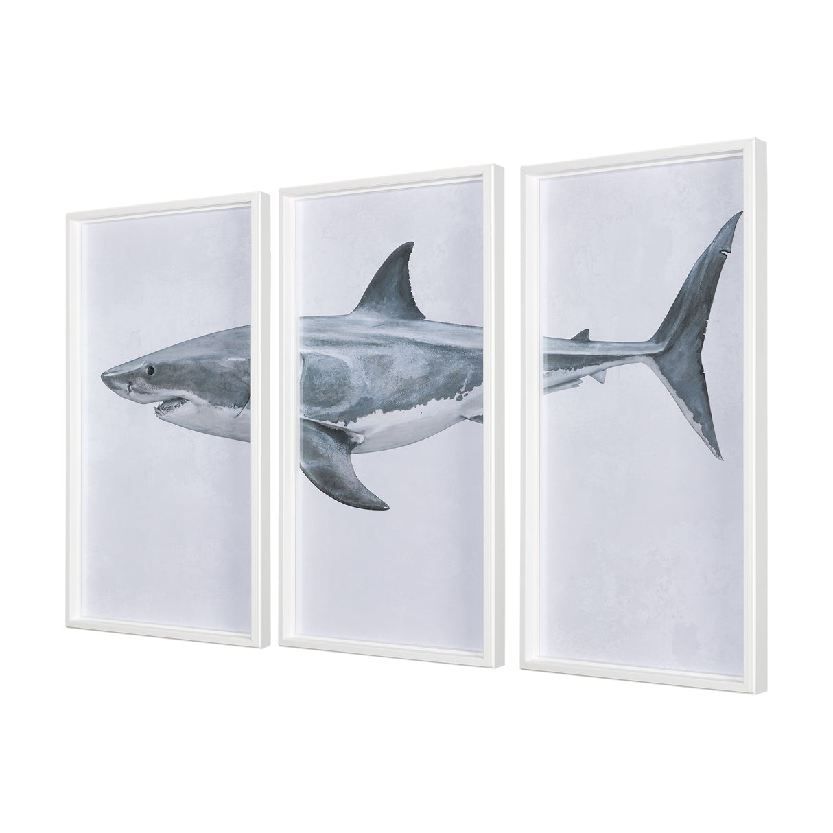 Great White Shark by Ariana a Triptych Hand Embellished Textured Framed Art Print Matted under Glass from Mercana - Luna Furniture