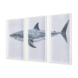Great White Shark by Ariana a Triptych Hand Embellished Textured Framed Art Print Matted under Glass from Mercana - Luna Furniture