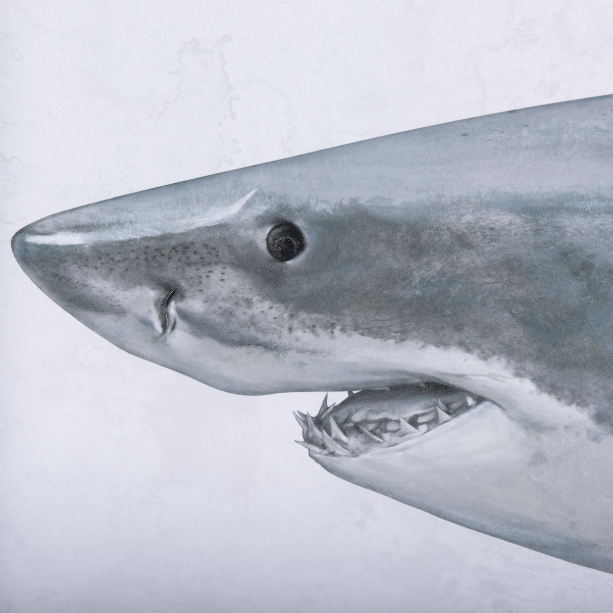 Great White Shark by Ariana a Triptych Hand Embellished Textured Framed Art Print Matted under Glass from Mercana - Luna Furniture