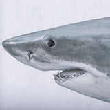 Great White Shark by Ariana a Triptych Hand Embellished Textured Framed Art Print Matted under Glass from Mercana - Luna Furniture