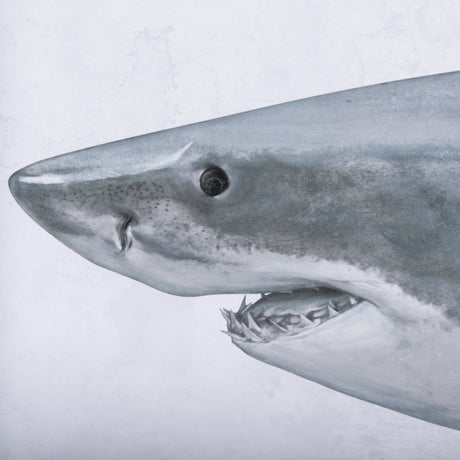 Great White Shark by Ariana a Triptych Hand Embellished Textured Framed Art Print Matted under Glass from Mercana - Luna Furniture
