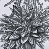 Dahlia Study - Detail by Mercana Studio Hand Embellished Textured Framed Art Photo Matted under Glas from Mercana - Luna Furniture