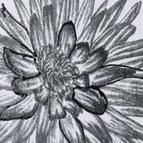 Dahlia Study - Detail by Mercana Studio Hand Embellished Textured Framed Art Photo Matted under Glas from Mercana - Luna Furniture