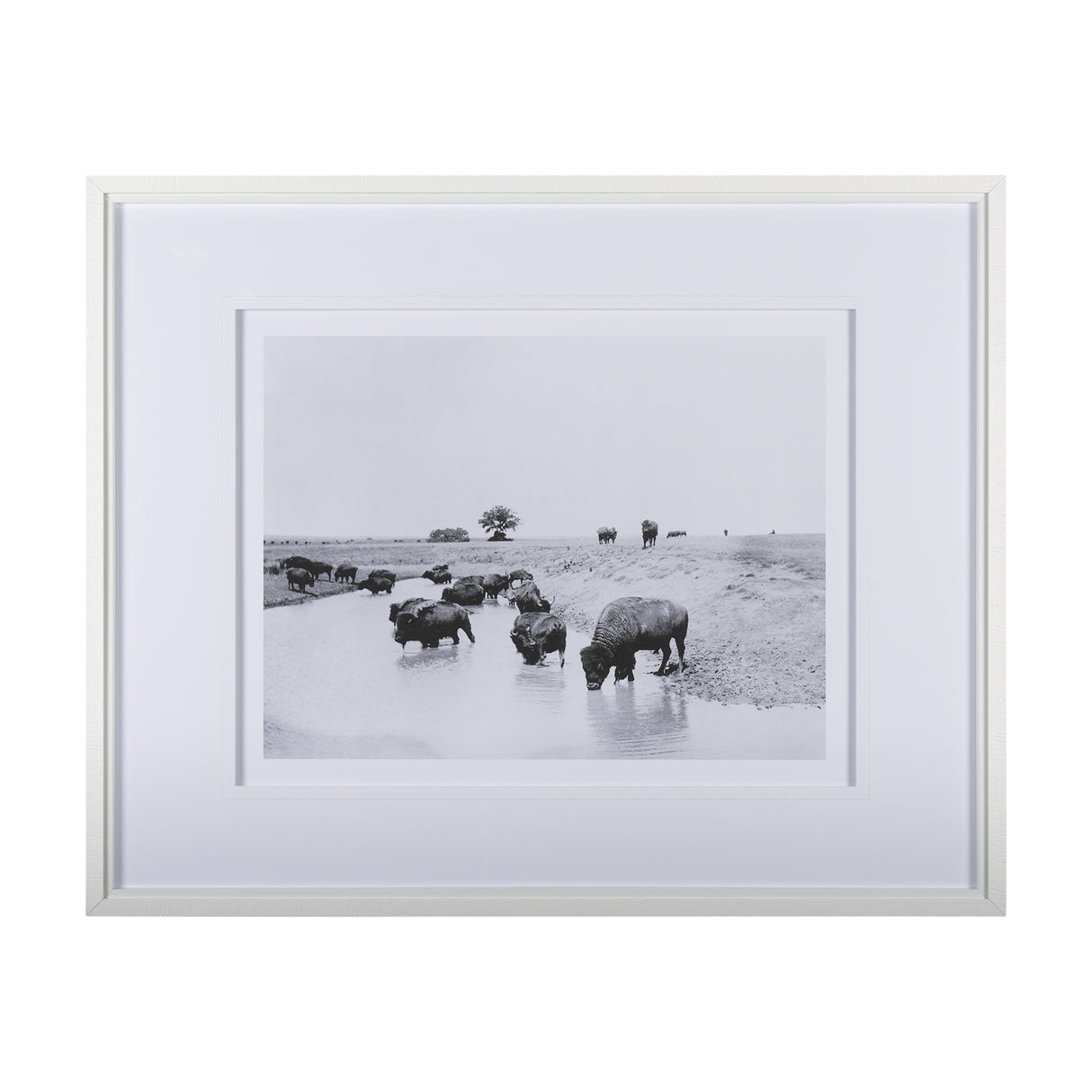 Buffalo Brook by Mercana Studio a Hand Embellished Textured Framed Art Photograph Matted under Glass from Mercana - Luna Furniture