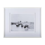 Buffalo Brook by Mercana Studio a Hand Embellished Textured Framed Art Photograph Matted under Glass from Mercana - Luna Furniture