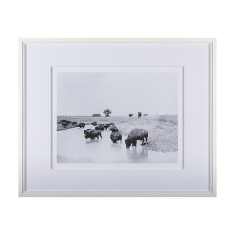 Buffalo Brook by Mercana Studio a Hand Embellished Textured Framed Art Photograph Matted under Glass from Mercana - Luna Furniture