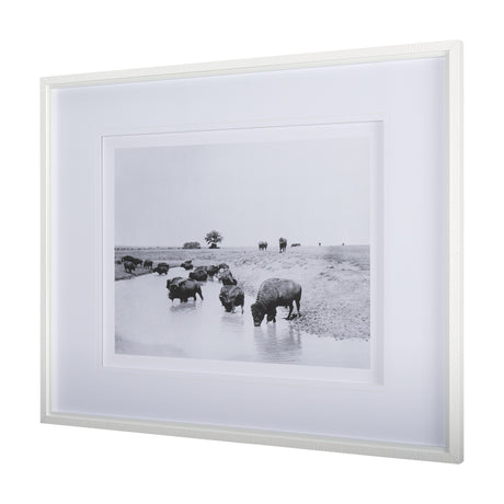 Buffalo Brook by Mercana Studio a Hand Embellished Textured Framed Art Photograph Matted under Glass from Mercana - Luna Furniture