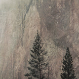 El Capitan by Mercana Studio a Hand Embellished Textured Framed Art Photograph Matted under Glass from Mercana - Luna Furniture