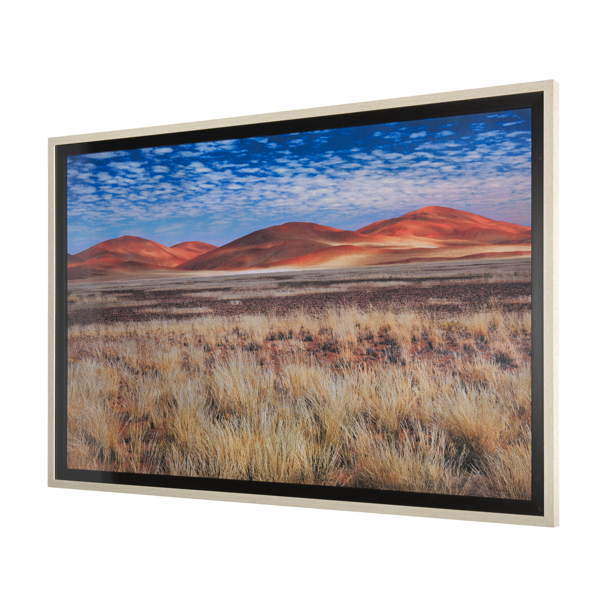 Bold Adventure by Mercana Studio a Hand Embellished Textured Framed Art Photo Matted under Glass from Mercana - Luna Furniture