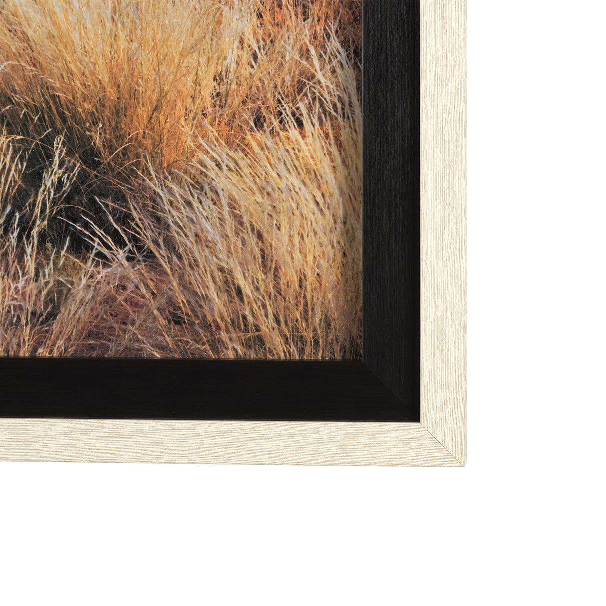 Bold Adventure by Mercana Studio a Hand Embellished Textured Framed Art Photo Matted under Glass from Mercana - Luna Furniture