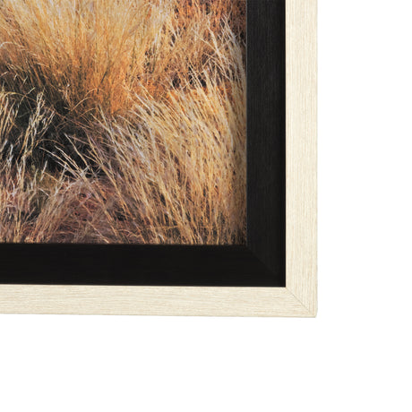 Bold Adventure by Mercana Studio a Hand Embellished Textured Framed Art Photo Matted under Glass from Mercana - Luna Furniture