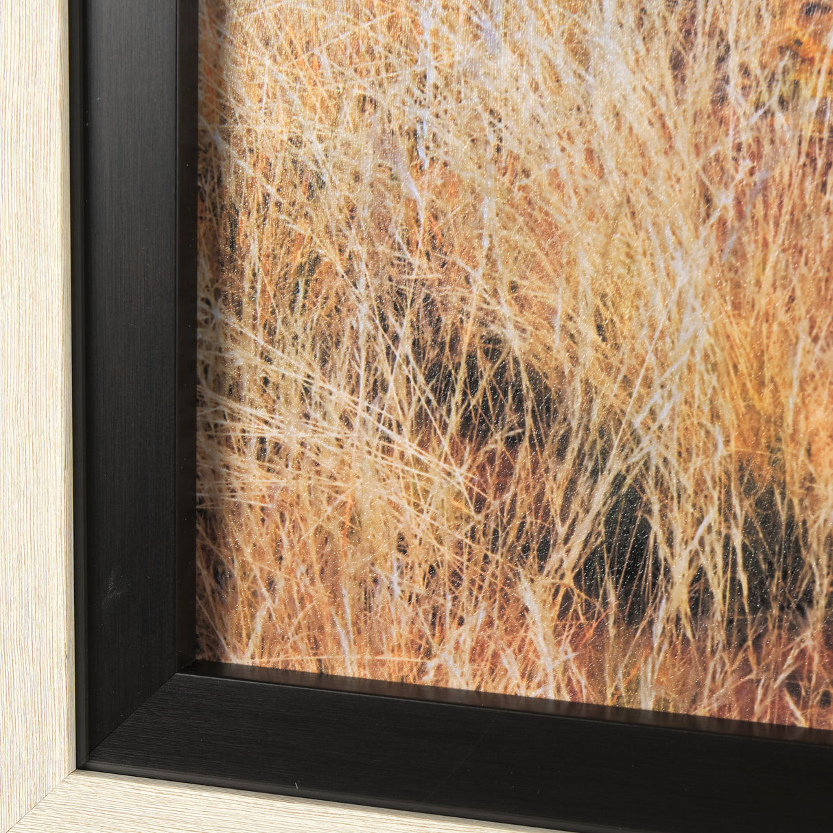 Bold Adventure by Mercana Studio a Hand Embellished Textured Framed Art Photo Matted under Glass from Mercana - Luna Furniture