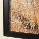 Bold Adventure by Mercana Studio a Hand Embellished Textured Framed Art Photo Matted under Glass from Mercana - Luna Furniture