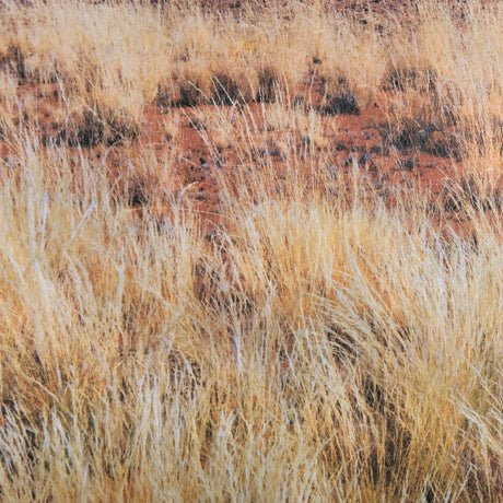 Bold Adventure by Mercana Studio a Hand Embellished Textured Framed Art Photo Matted under Glass from Mercana - Luna Furniture