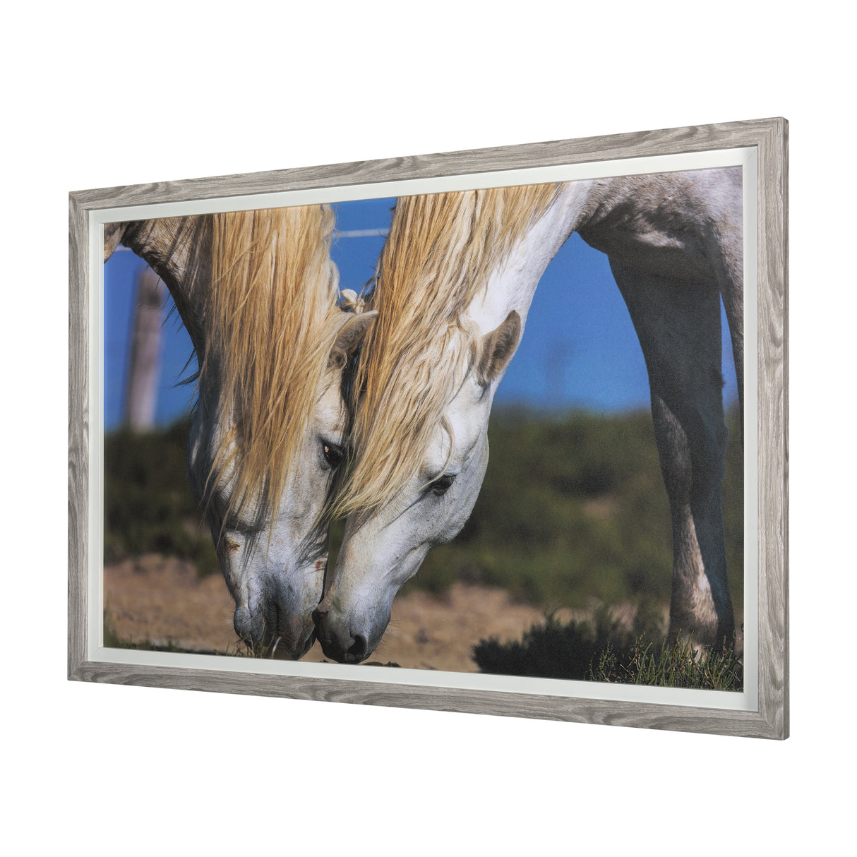 Nuzzled Together by Mercana Studio a Hand Embellished Textured Framed Art Photo Matted under Glass from Mercana - Luna Furniture