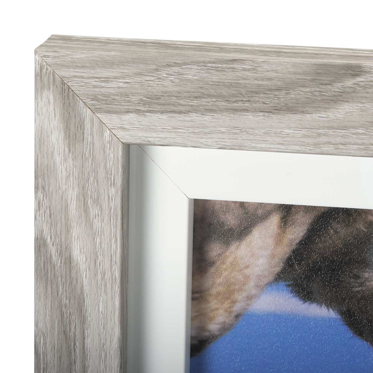 Nuzzled Together by Mercana Studio a Hand Embellished Textured Framed Art Photo Matted under Glass from Mercana - Luna Furniture