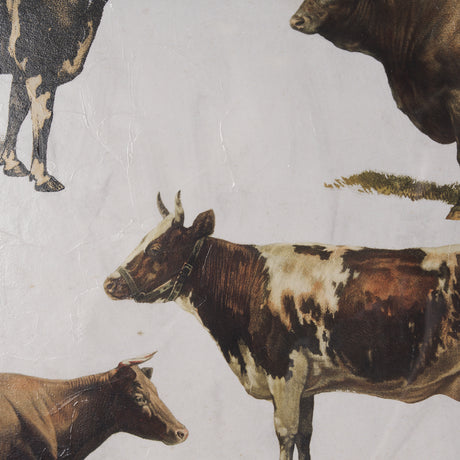Antique Cow Chart by Mercana Studio a Framed Art Print Matted under Glass from Mercana - Luna Furniture