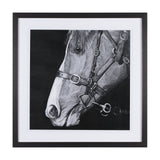 Equestrian Portrait by Mercana Studio Hand Embellished Textured Framed Photo Art Print Matted under from Mercana - Luna Furniture