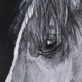 Equestrian Portrait by Mercana Studio Hand Embellished Textured Framed Photo Art Print Matted under from Mercana - Luna Furniture