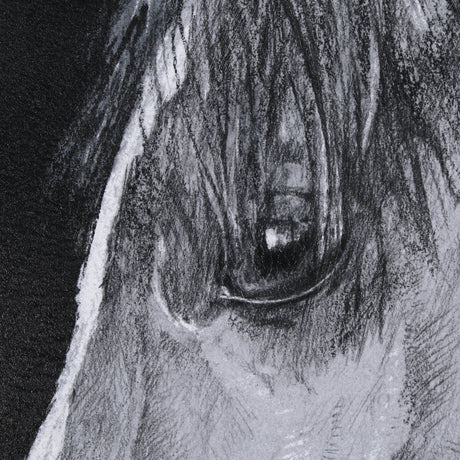 Equestrian Portrait by Mercana Studio Hand Embellished Textured Framed Photo Art Print Matted under from Mercana - Luna Furniture