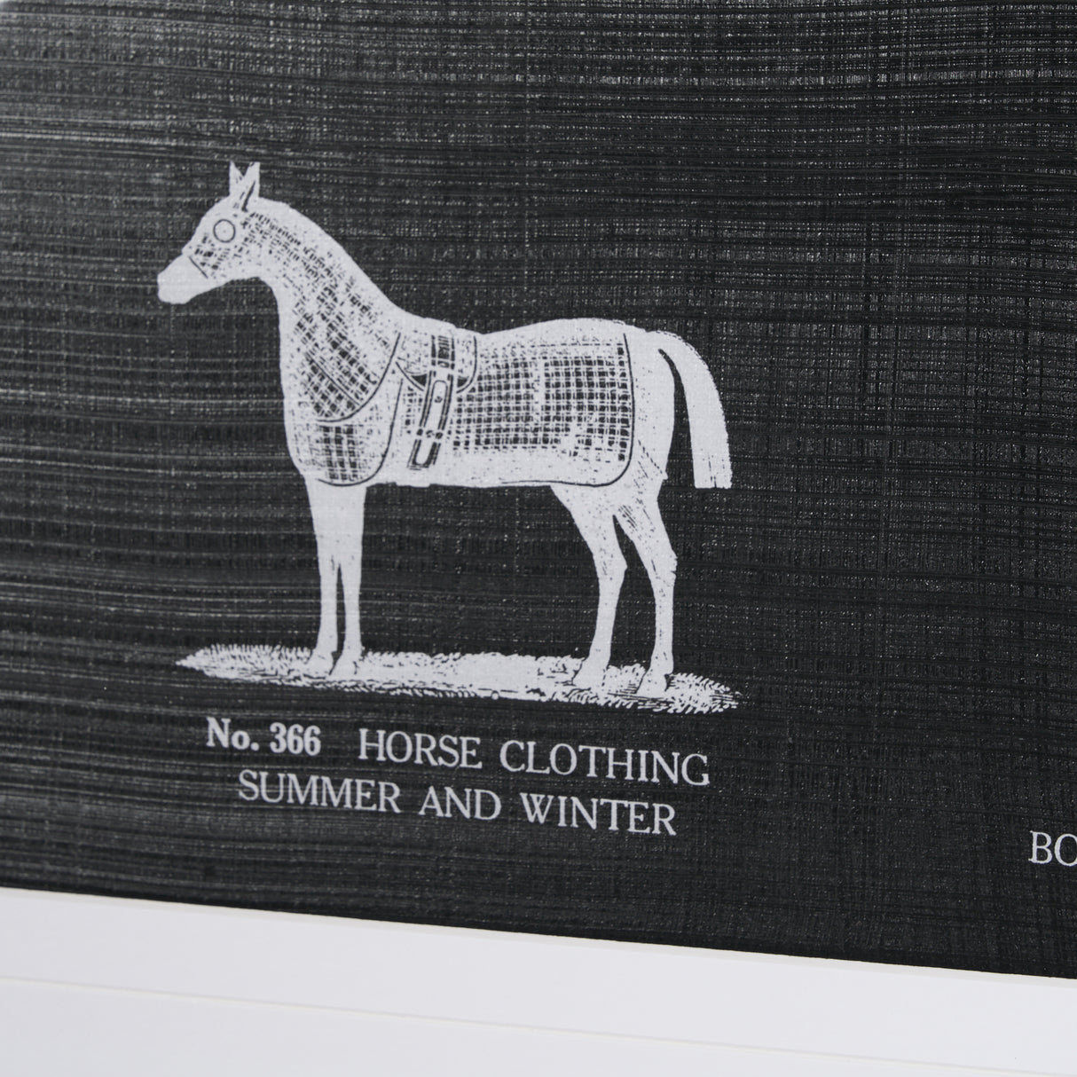 Equestrian Riding IV BW Horse by Mercana Studio Hand Embellished Framed Art Print Matted under Glass from Mercana - Luna Furniture