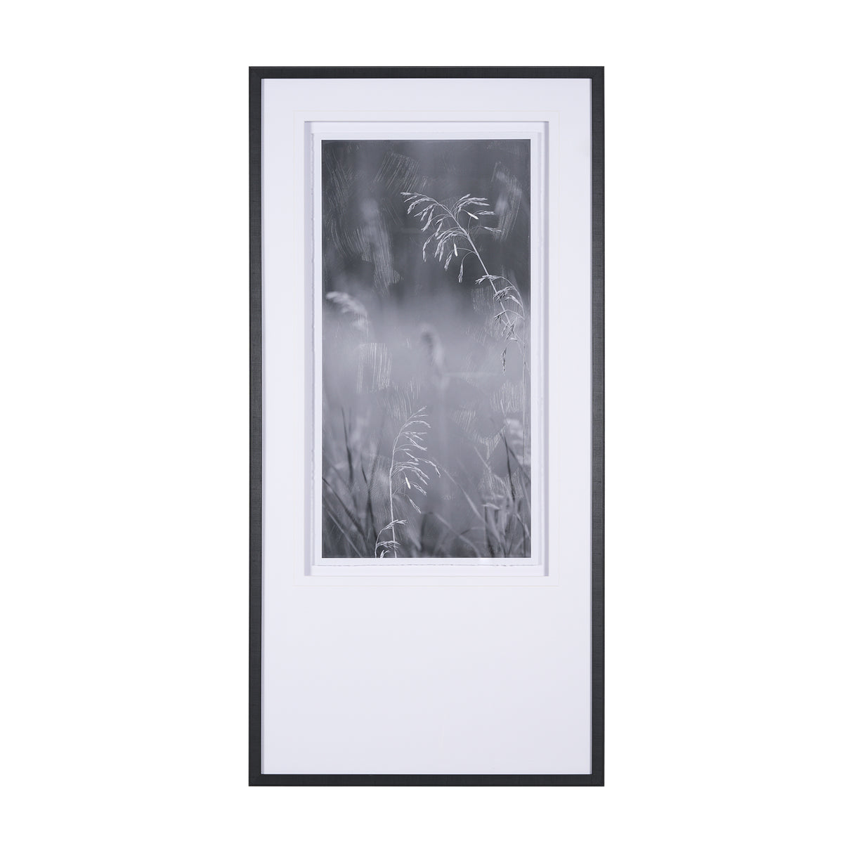 Summer Light I by Mercana Studio a Hand Embellished Textured Framed Photo Art Print Matted under Gl from Mercana - Luna Furniture