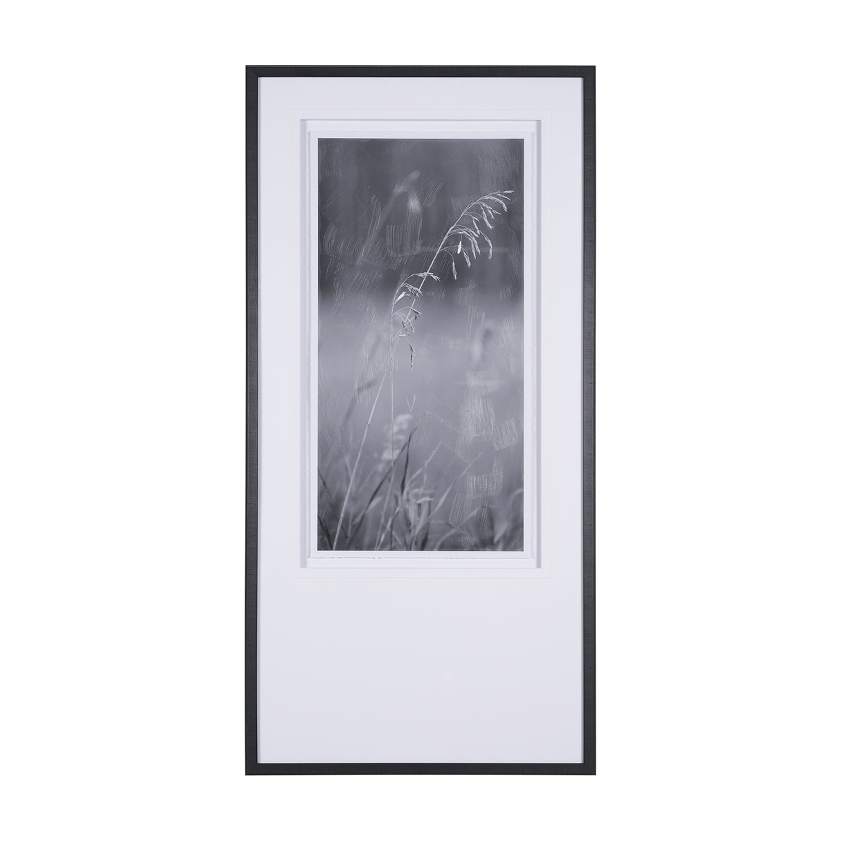Summer Light II by Mercana Studio a Hand Embellished Textured Framed Photo Art Print Matted under Gl from Mercana - Luna Furniture