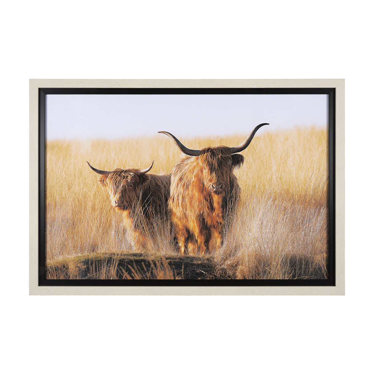 Young and Old Highlander by Mercana Studio Hand Embellished Framed Photo Art Print Matted under Glas from Mercana - Luna Furniture