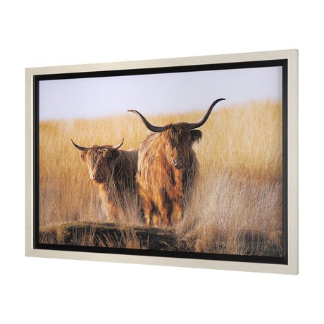 Young and Old Highlander by Mercana Studio Hand Embellished Framed Photo Art Print Matted under Glas from Mercana - Luna Furniture