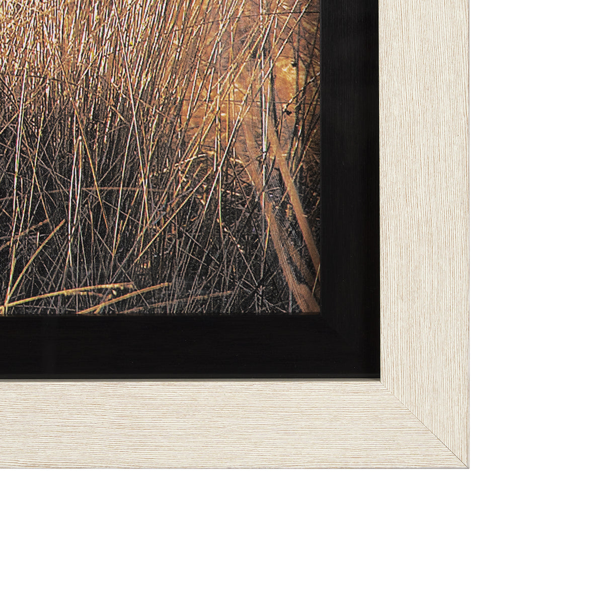Young and Old Highlander by Mercana Studio Hand Embellished Framed Photo Art Print Matted under Glas from Mercana - Luna Furniture