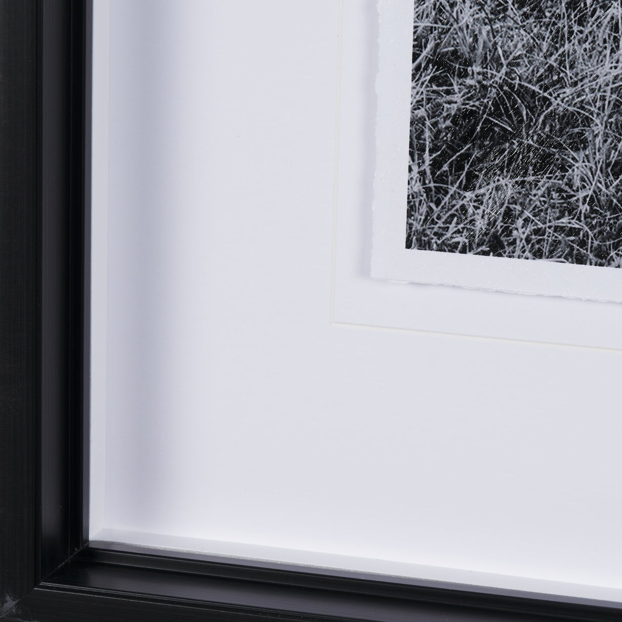 Highlands by Mercana Studio a Hand Embellished Textured Framed Photo Art Print Matted under Glass from Mercana - Luna Furniture