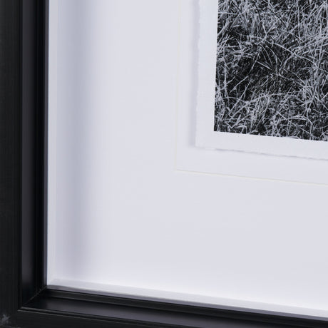 Highlands by Mercana Studio a Hand Embellished Textured Framed Photo Art Print Matted under Glass from Mercana - Luna Furniture