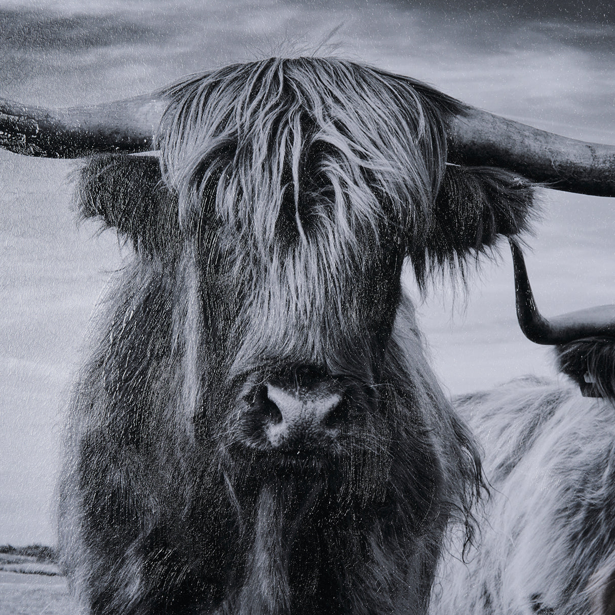 Highlands by Mercana Studio a Hand Embellished Textured Framed Photo Art Print Matted under Glass from Mercana - Luna Furniture