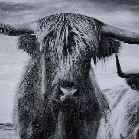 Highlands by Mercana Studio a Hand Embellished Textured Framed Photo Art Print Matted under Glass from Mercana - Luna Furniture
