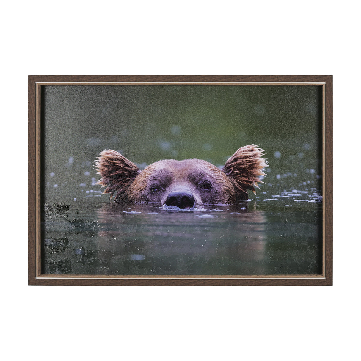 Peeking Out by Mercana Studio a Hand Embellished Textured Framed Photo Art Print from Mercana - Luna Furniture