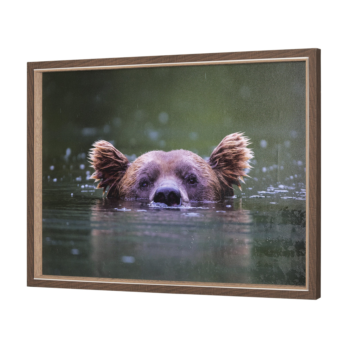 Peeking Out by Mercana Studio a Hand Embellished Textured Framed Photo Art Print from Mercana - Luna Furniture