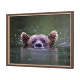 Peeking Out by Mercana Studio a Hand Embellished Textured Framed Photo Art Print from Mercana - Luna Furniture