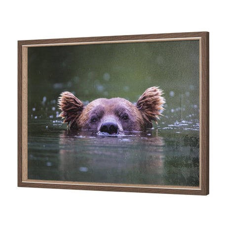 Peeking Out by Mercana Studio a Hand Embellished Textured Framed Photo Art Print from Mercana - Luna Furniture