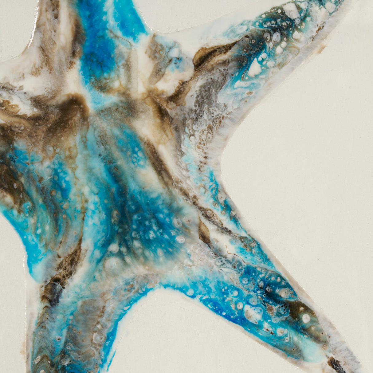 Sea Star by Studio M a handmade Original Framed Artwork under Glass from Mercana - Luna Furniture