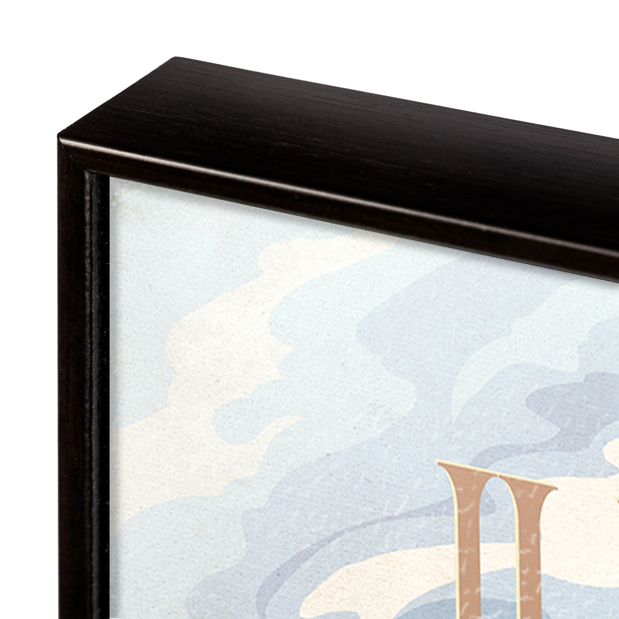 Illinois Go USA (SM) by Mercana Studio a Hand Embellished Decograph Framed Art Print from Mercana - Luna Furniture