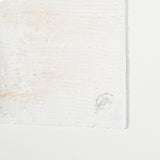 Lime Washed Branches I by Studio M a handmade Original Framed Artwork under Glass from Mercana - Luna Furniture