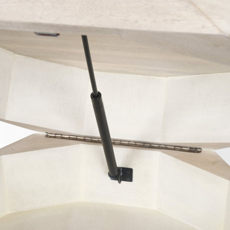 Arreto 36" Hexagonal Hinged Solid Wood Top and Base Coffee Table from Mercana - Luna Furniture