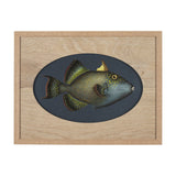 Pseudobalistes Fuscus by Mercana Studio Hand Embellished Textured Framed Art Print Matted under Glas from Mercana - Luna Furniture