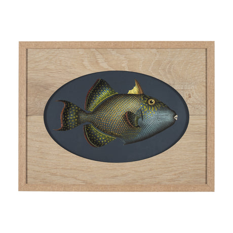 Pseudobalistes Fuscus by Mercana Studio Hand Embellished Textured Framed Art Print Matted under Glas from Mercana - Luna Furniture