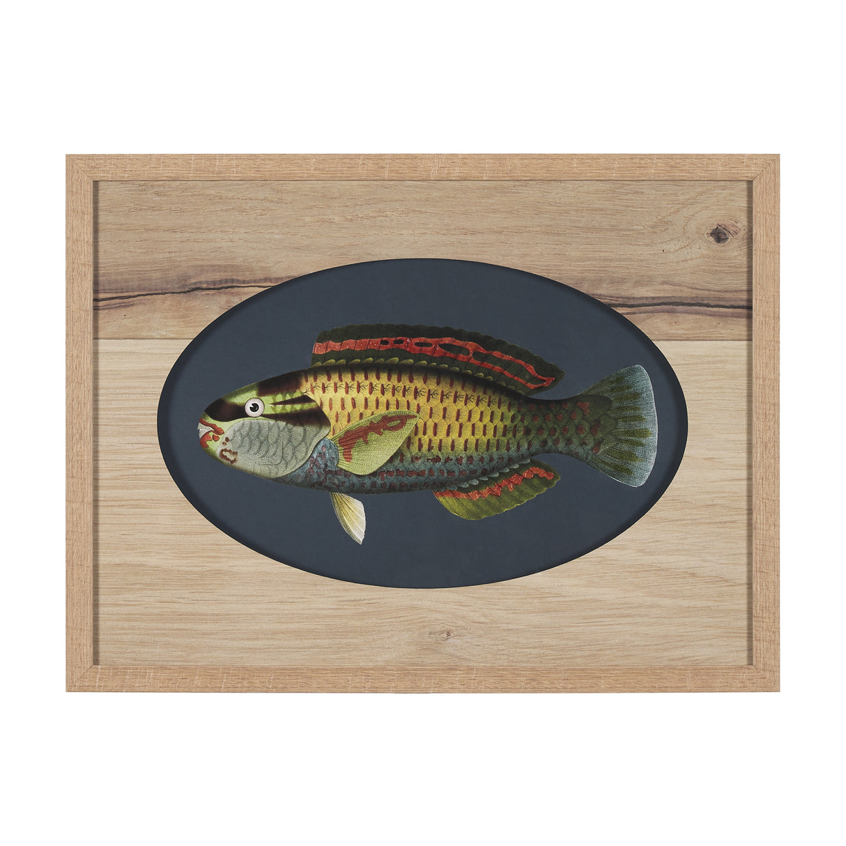 Scarus Ghobban by Mercana Studio a Hand Embellished Textured Framed Art Print Matted under Glass from Mercana - Luna Furniture