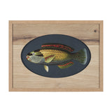 Scarus Ghobban by Mercana Studio a Hand Embellished Textured Framed Art Print Matted under Glass from Mercana - Luna Furniture